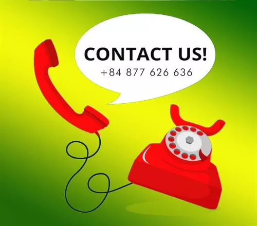 Contact Information